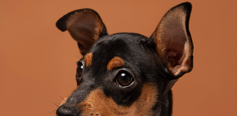 ad image background